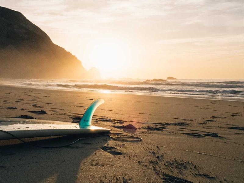 防钓盾牌<br>虚假代币与钓鱼链接拦截